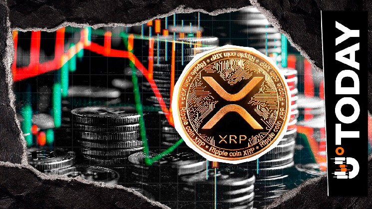 XRP Whale Dominance Drops 27% in Just 8 Days