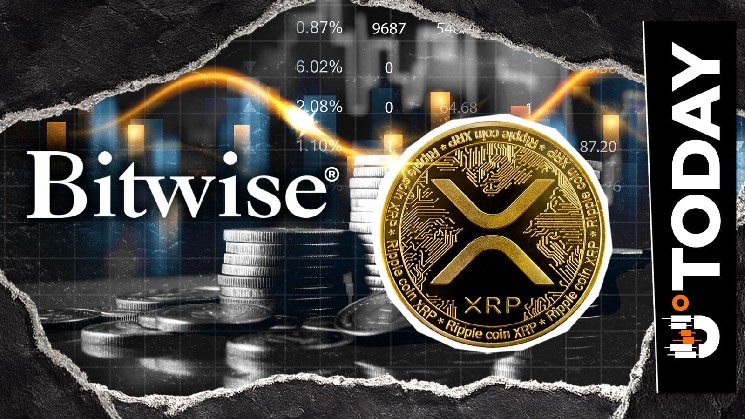Bitwise Holds Over Half a Billion XRP