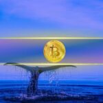 Bitcoin’s Biggest Holders Ramp Up Buying While Retail Traders Remain Flat