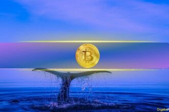 Bitcoin’s Biggest Holders Ramp Up Buying While Retail Traders Remain Flat