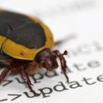 XRP Ledger bug fix moved to November after validator support dipped for two hours