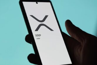 Ripple's Schwartz Underestimates XRP Lending Potential, Flare CEO Claims