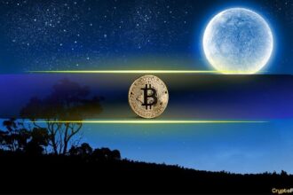 This Bitcoin Cycle Theory Puts $350K in Focus Before the Next Crash